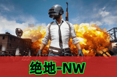 绝地求生NW辅助
