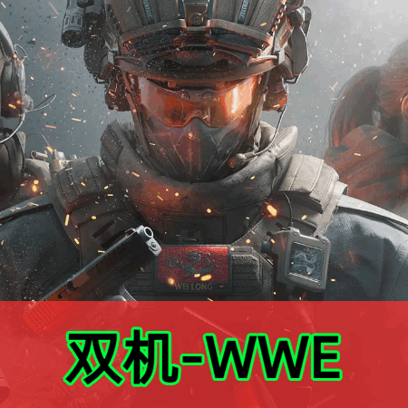 双机内存WWE辅助